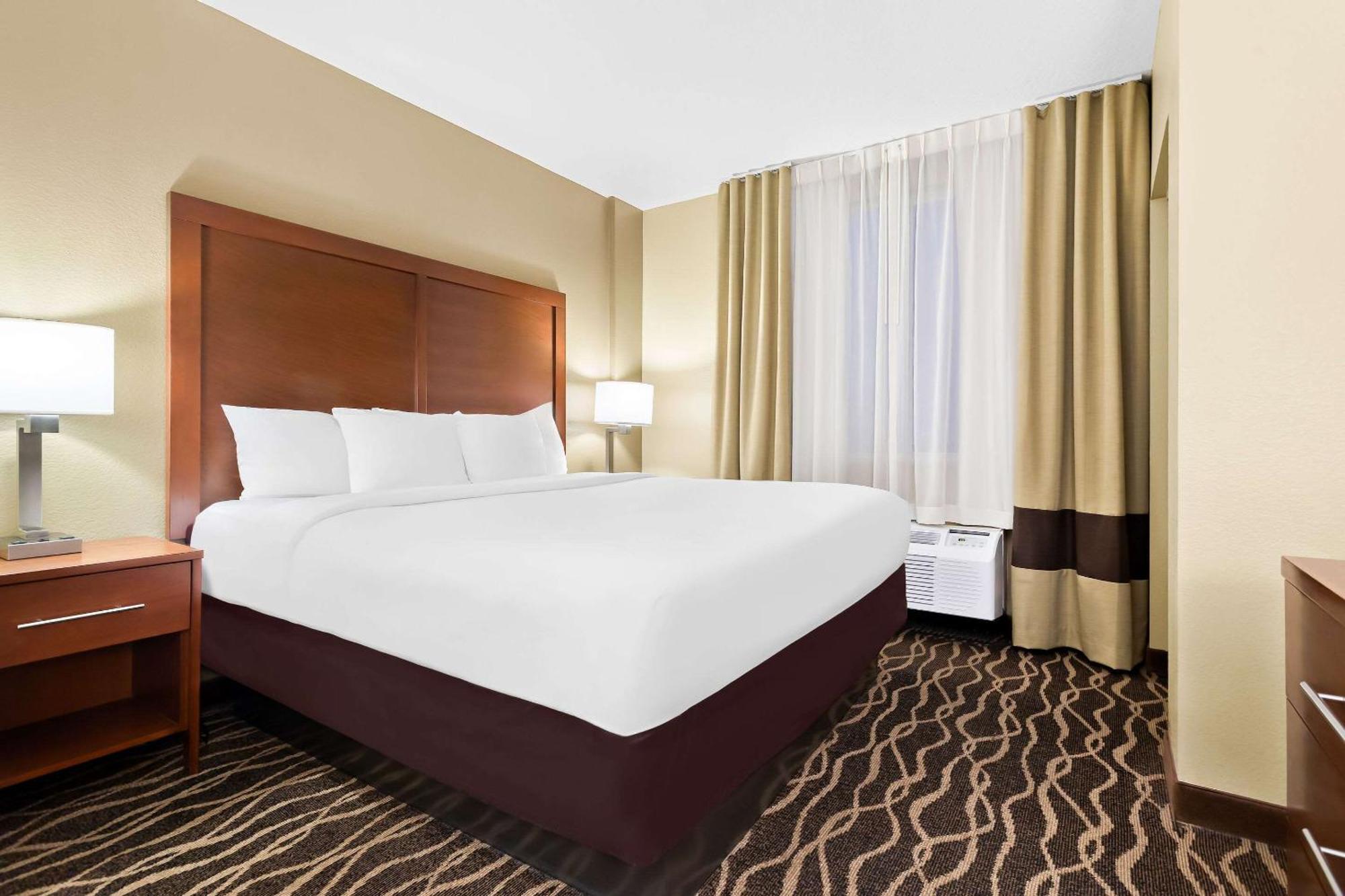 Comfort Suites Tampa Airport North West Chase Kültér fotó