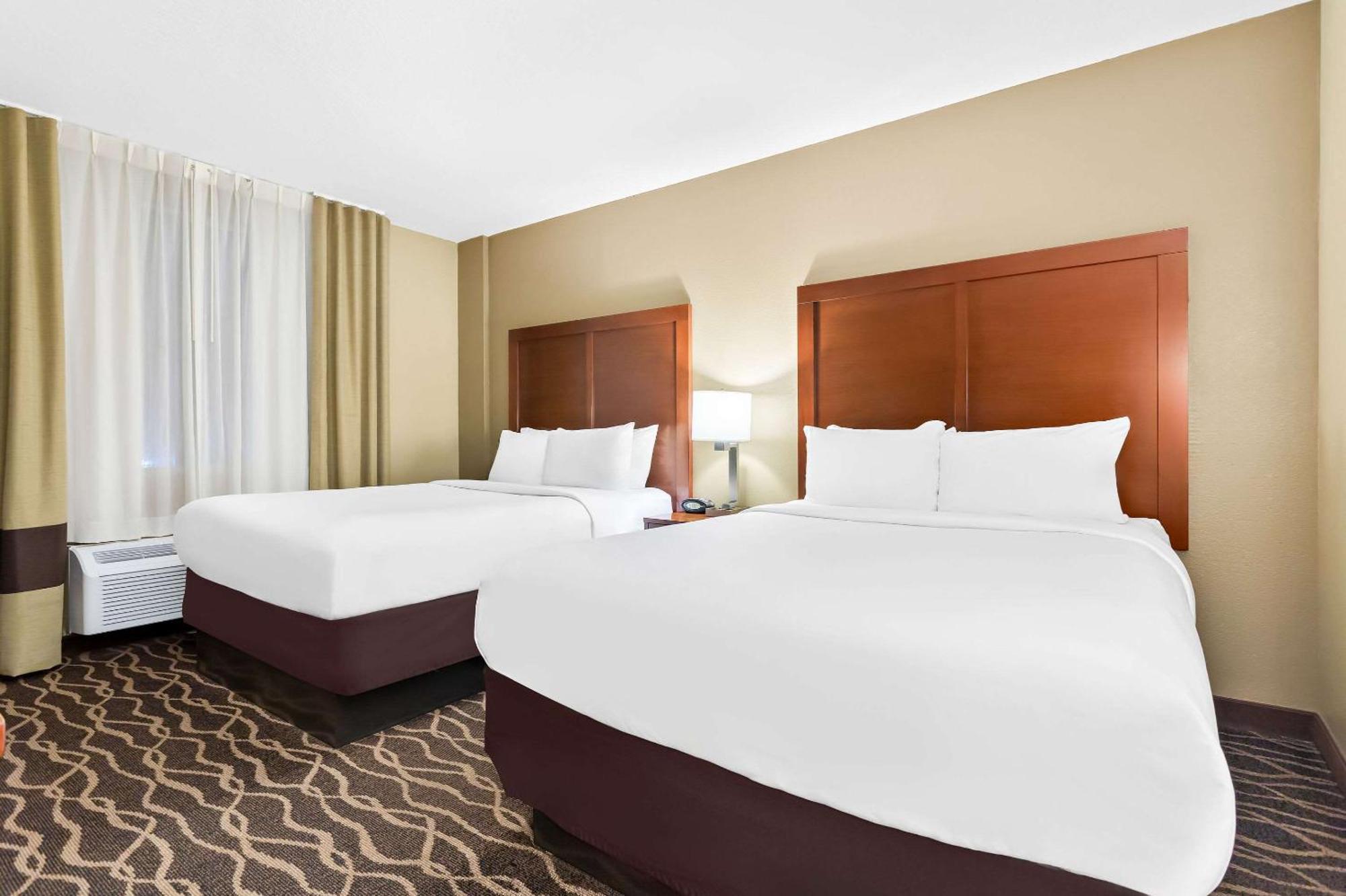 Comfort Suites Tampa Airport North West Chase Kültér fotó