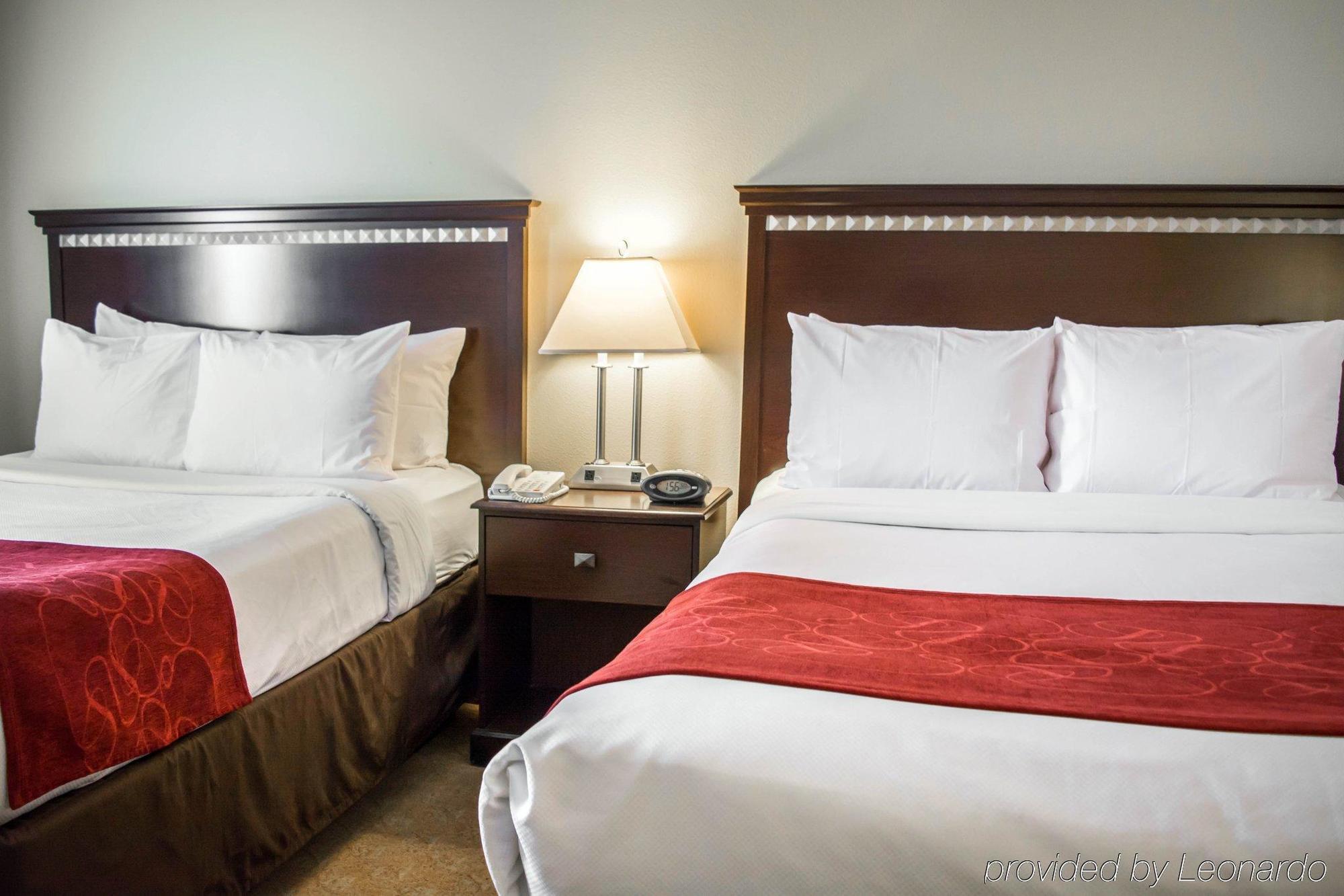 Comfort Suites Tampa Airport North West Chase Kültér fotó