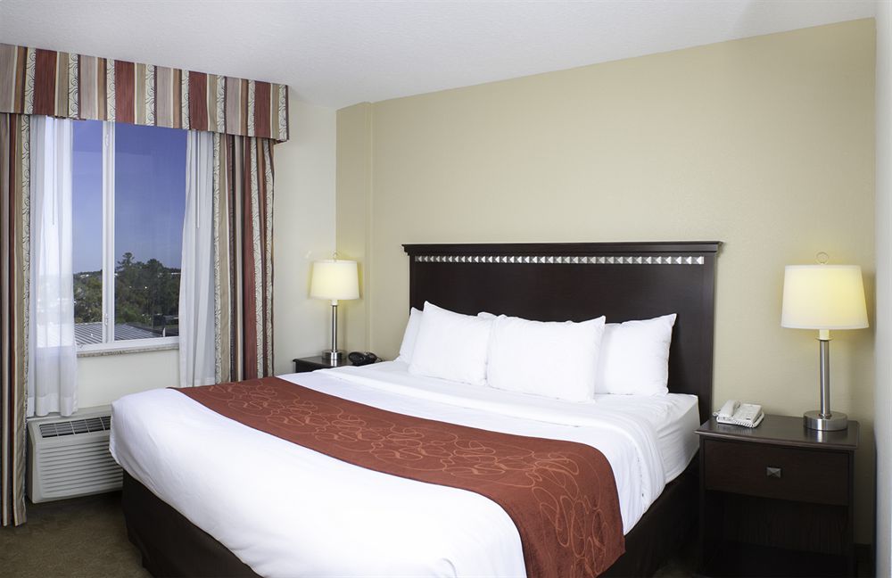 Comfort Suites Tampa Airport North West Chase Kültér fotó
