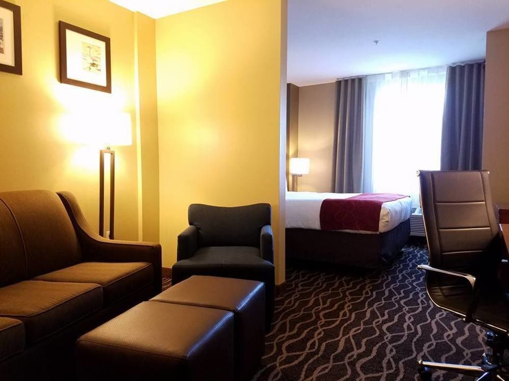 Comfort Suites Tampa Airport North West Chase Kültér fotó