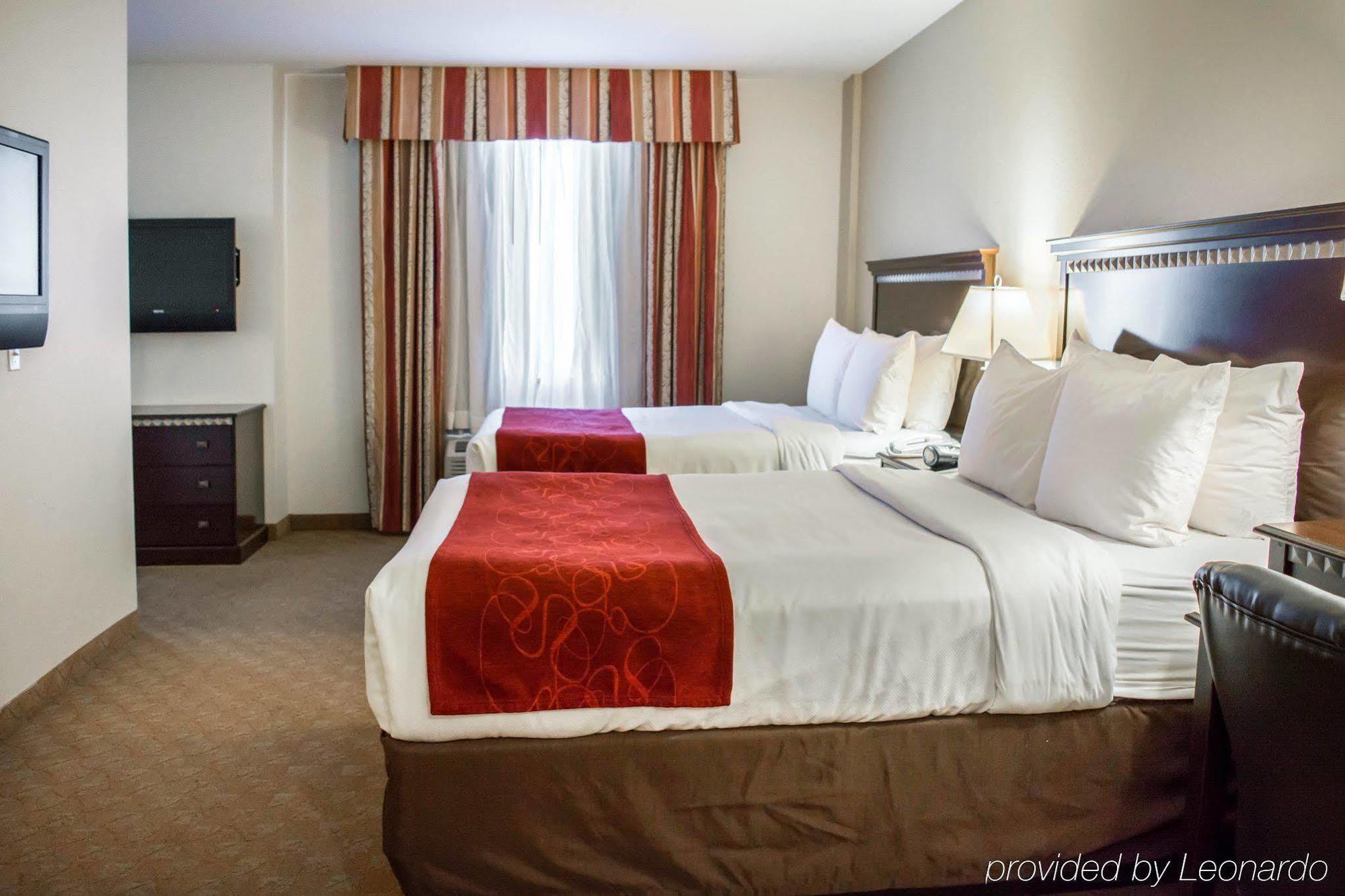 Comfort Suites Tampa Airport North West Chase Kültér fotó
